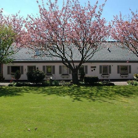 Hotel Feriestedet Ronne Billum Zewnętrze zdjęcie